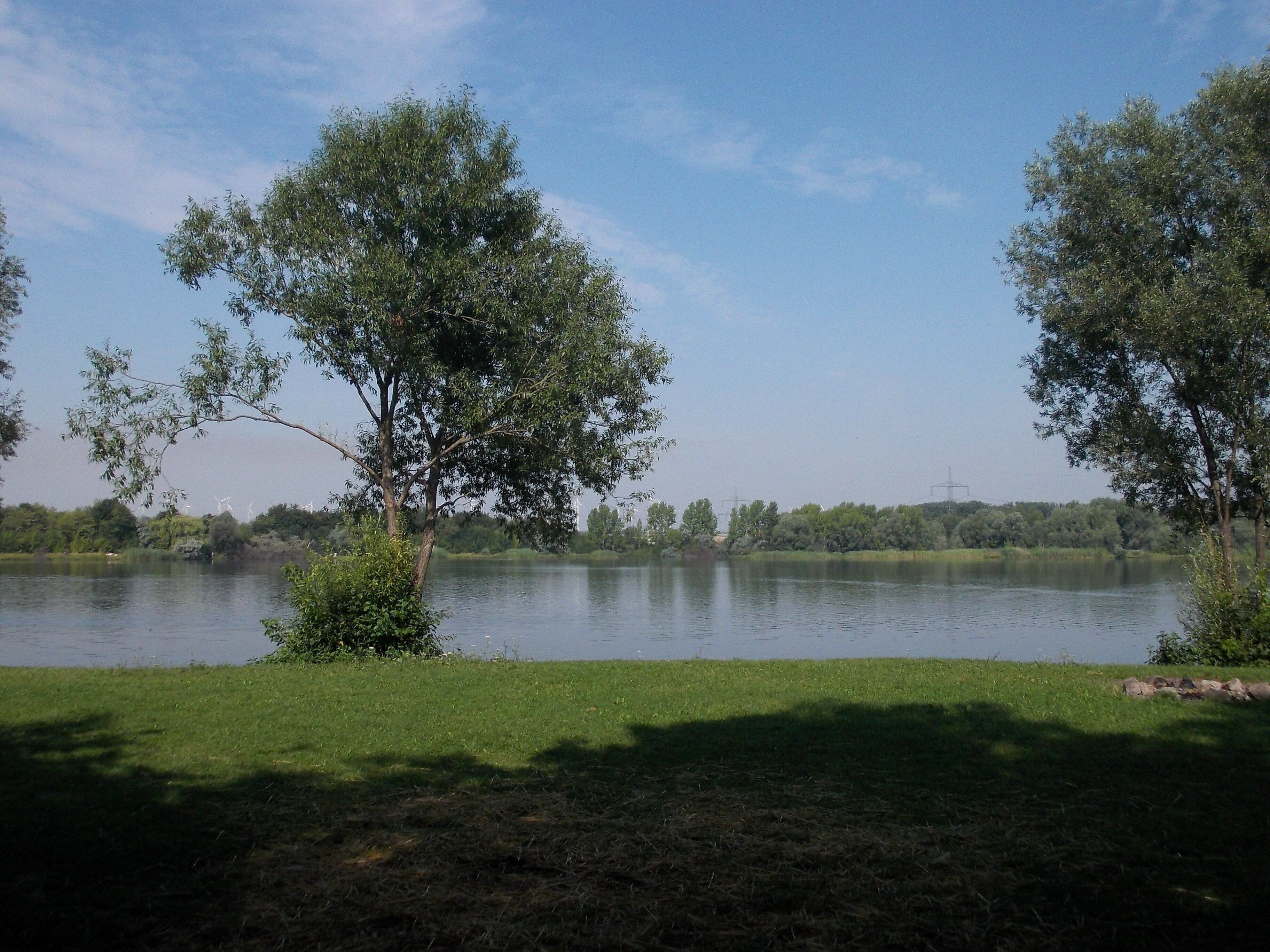 Um lago calmo com árvores e margens gramadas.