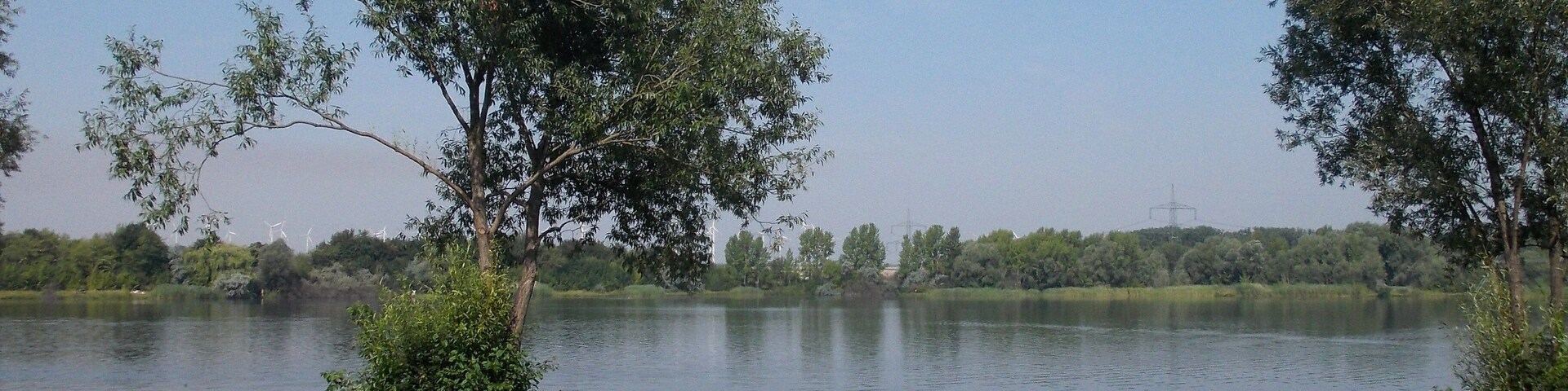Um lago calmo com árvores e margens gramadas.