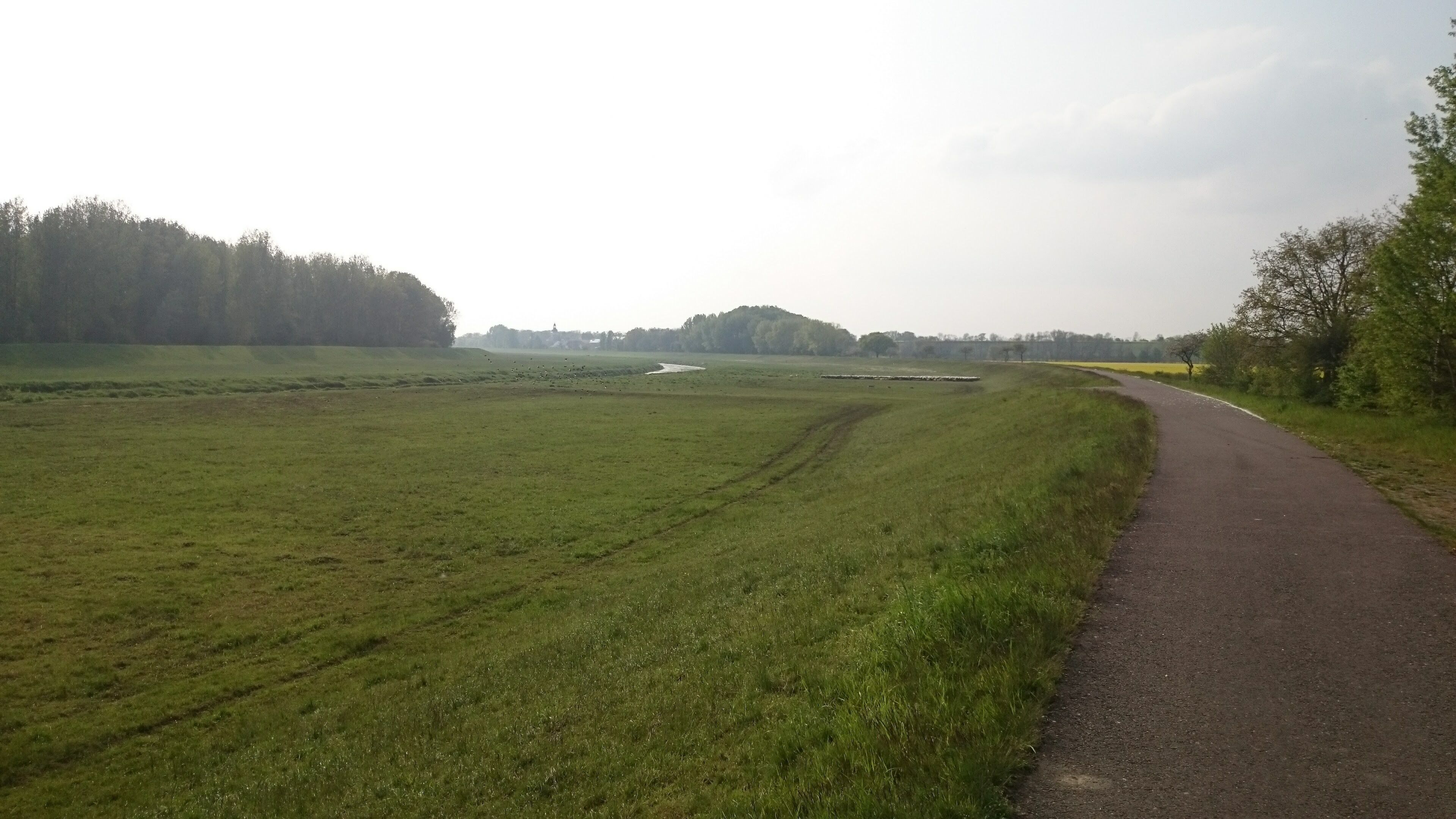 Elsterdamm zwischen Oberthau und Raßnitz (LSG Elster-Luppe-Aue