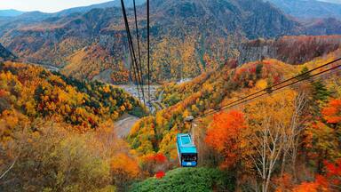 A breathtaking view from a cable car of Kurodake Ropeway flying over colorful autumn forests on the mountainside in Sounkyo Gorge in Daisetsuzan National Park, in Kamikawa, Hokkaido Japan