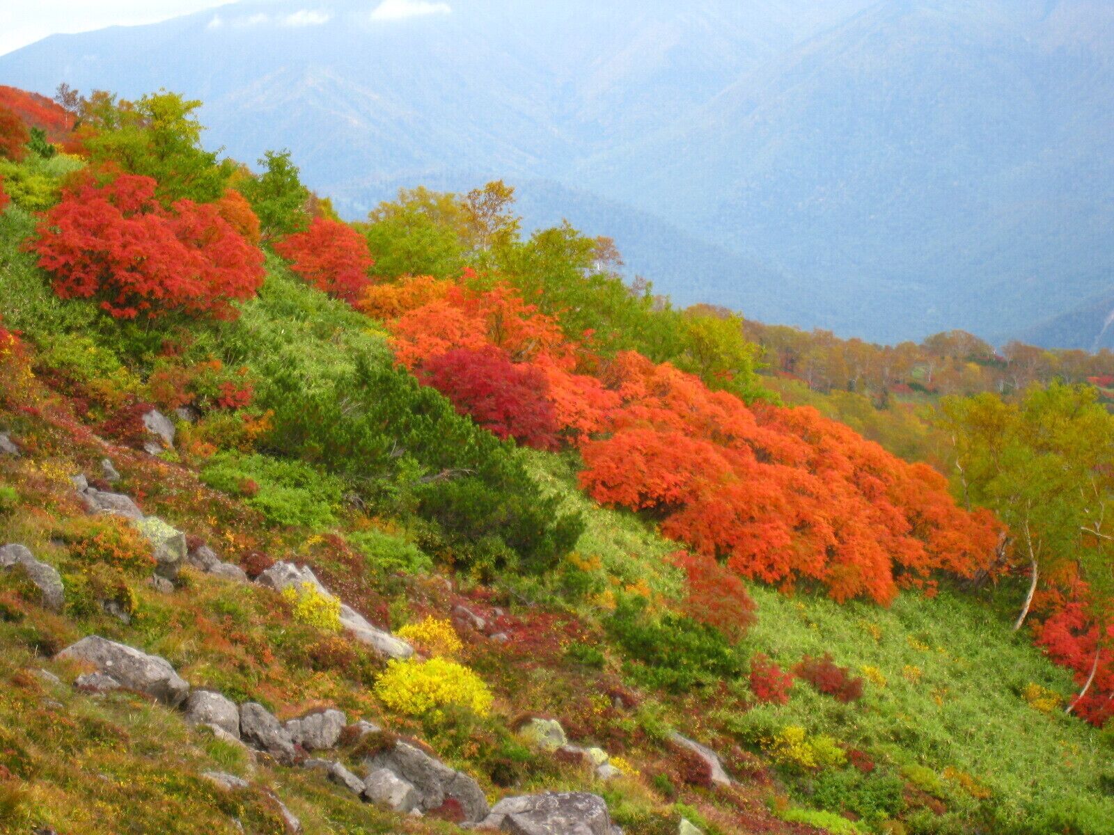 A mountainous landscape with autumn foliage in red, orange, and green.