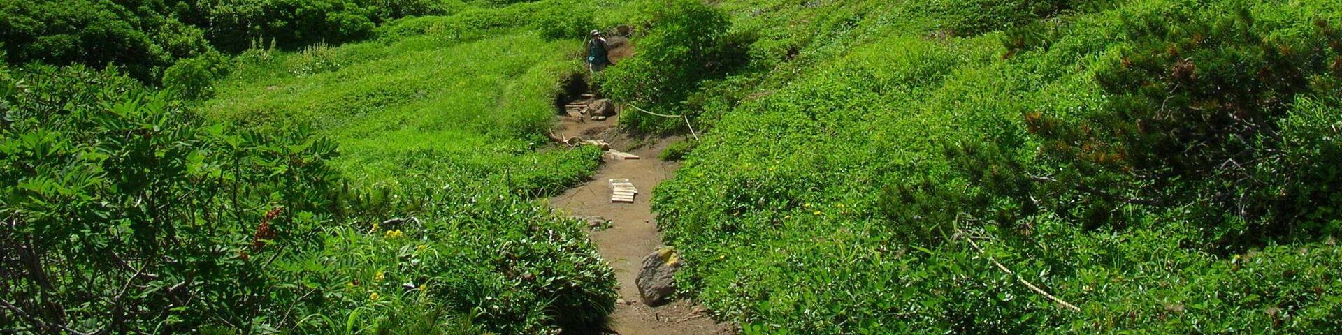 第三雪渓 夏(The third snowy valley of the summer)