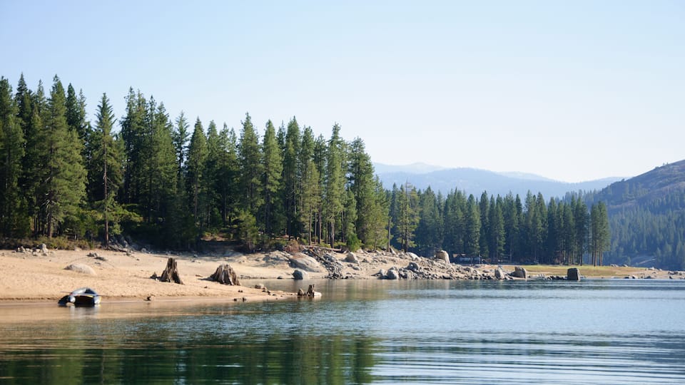 A calm lake surrounded by dense forest and mountains.