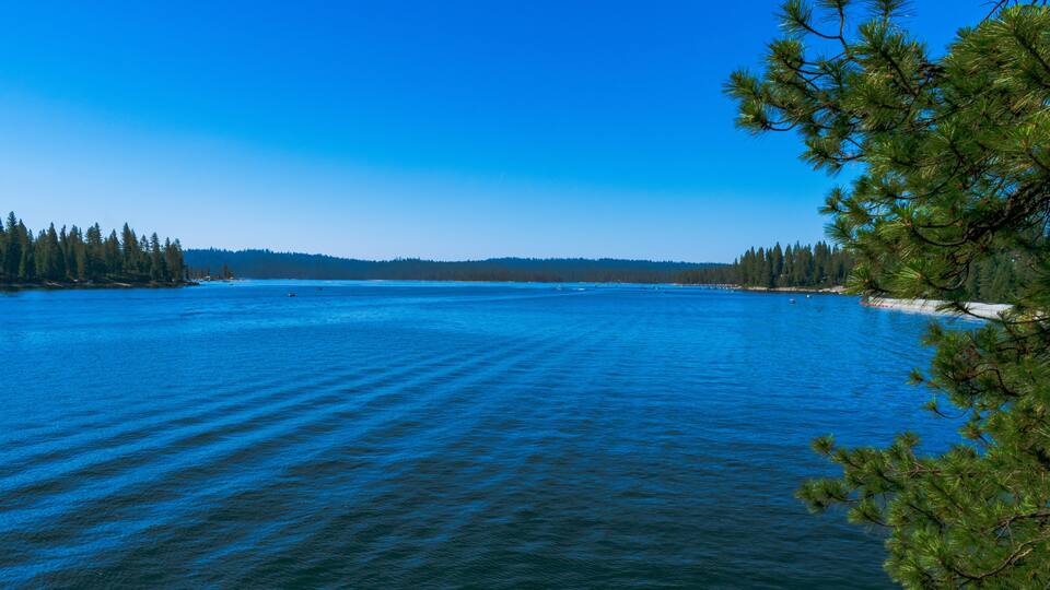 A calm lake with a clear blue sky, surrounded by dense forests and a distant shoreline.