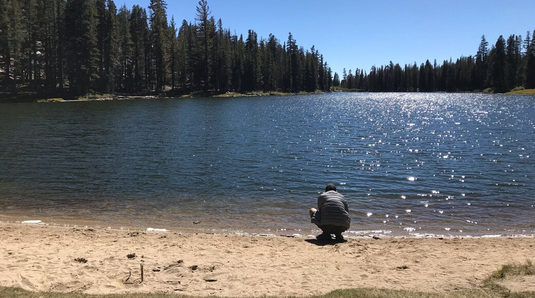 When you beat cancer so many times...this is my journey