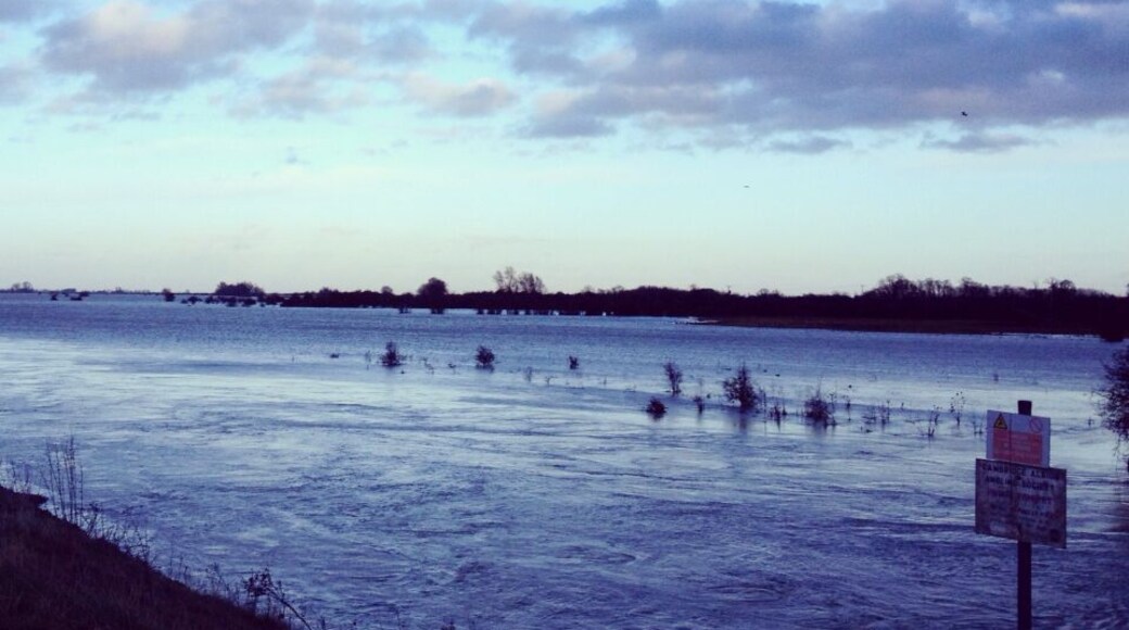 It's a bit flooded here! #flooded #water