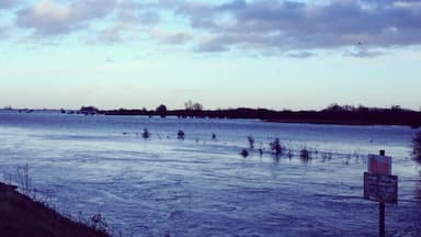 It's a bit flooded here! #flooded #water