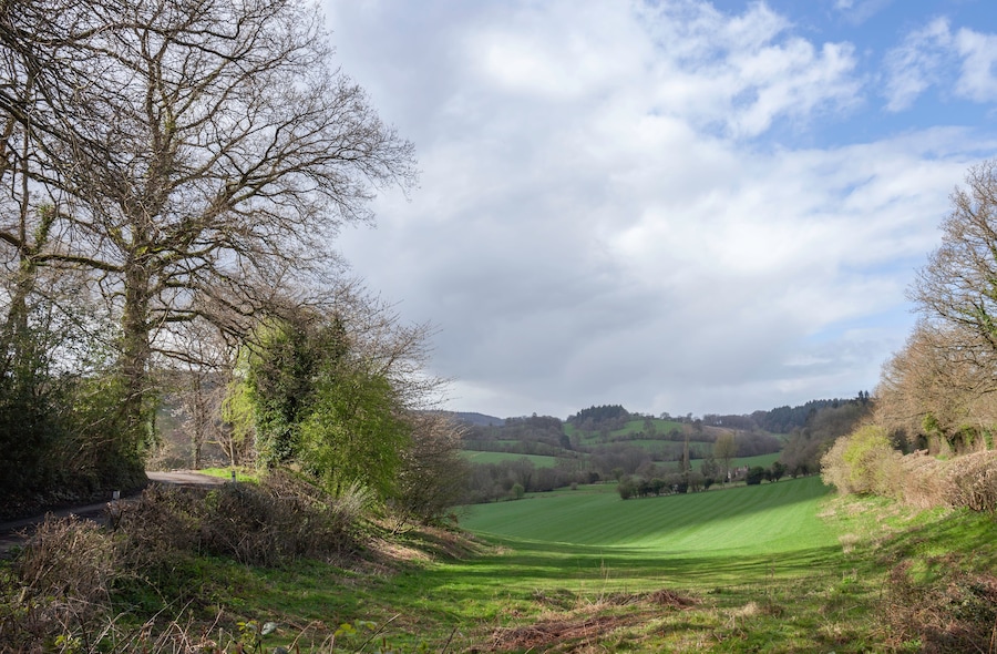 A rural landscape with a dirt path, leafless trees, and rolling hills in the distance.