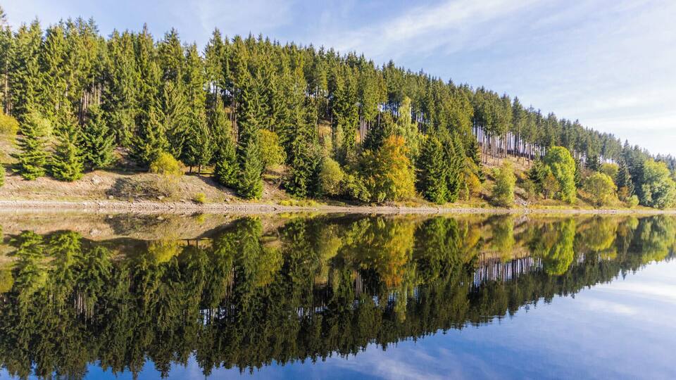 A calm lake reflecting dense forest and a clear sky.