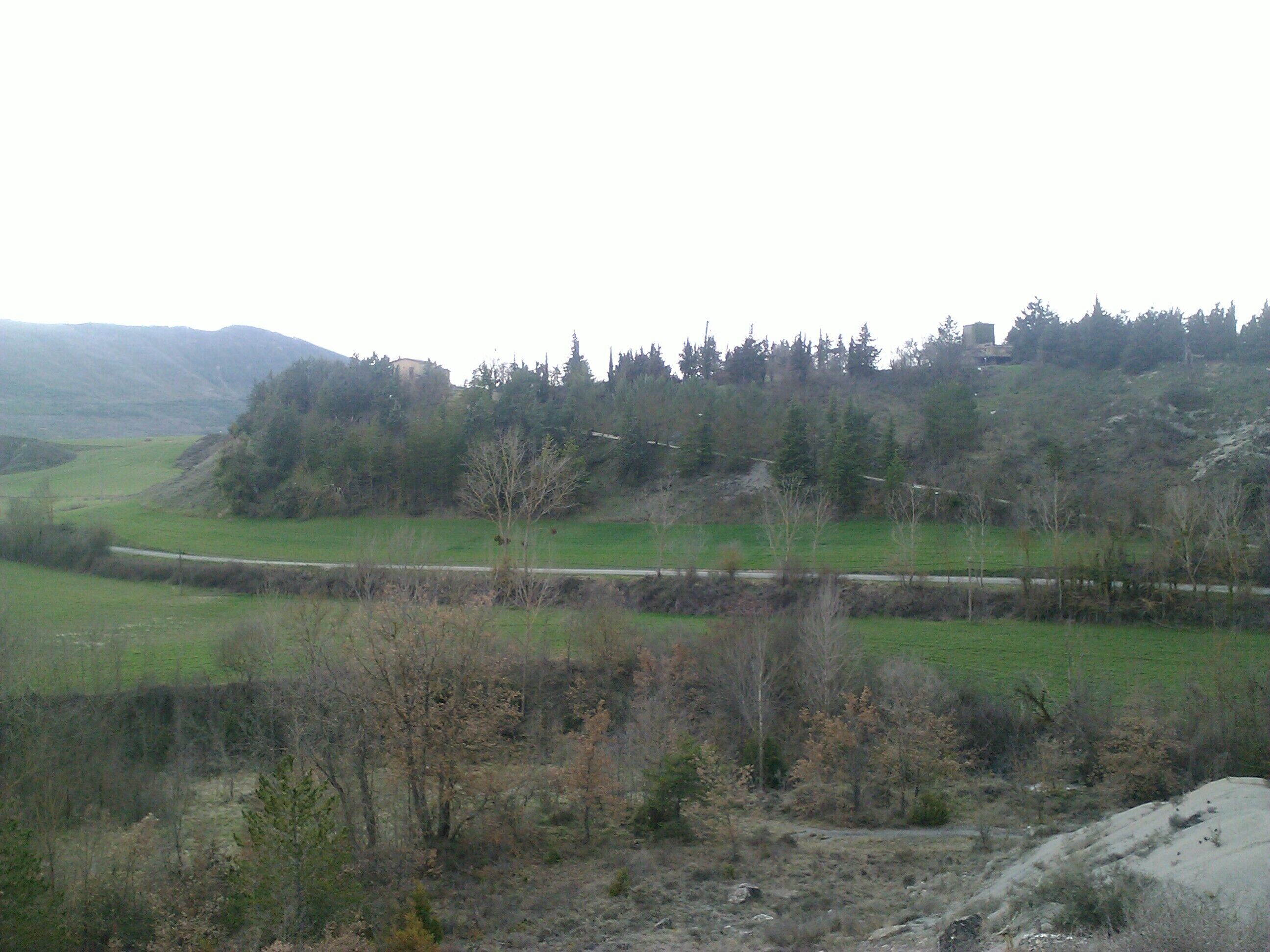 A rural landscape with a road, green fields, and a forested hill.
