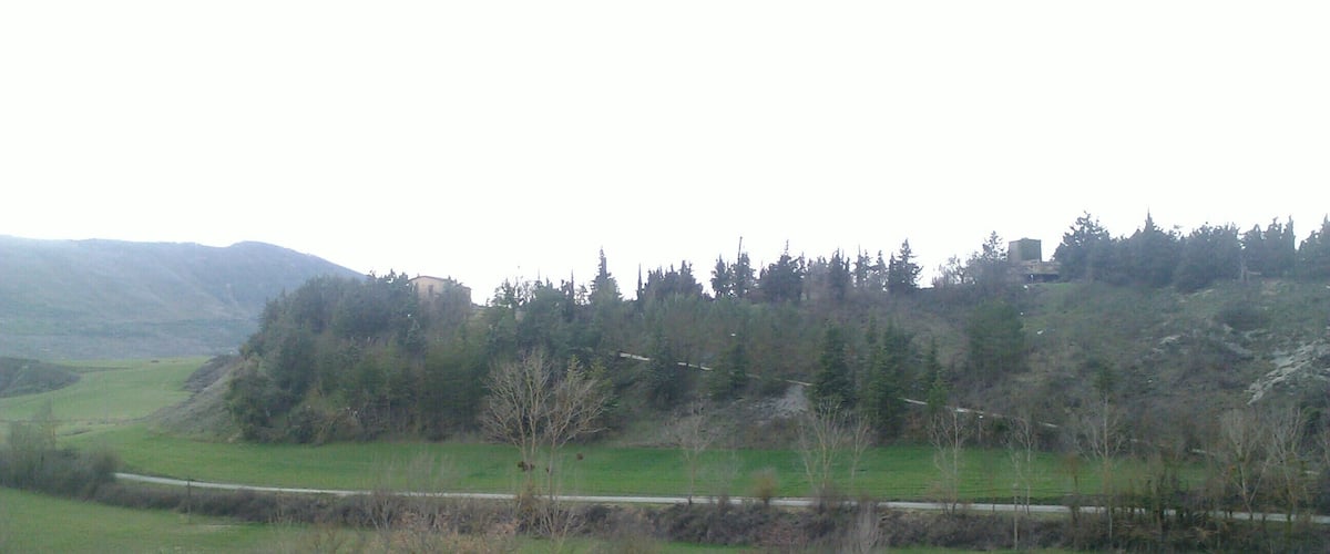 A rural landscape with a road, green fields, and a forested hill.