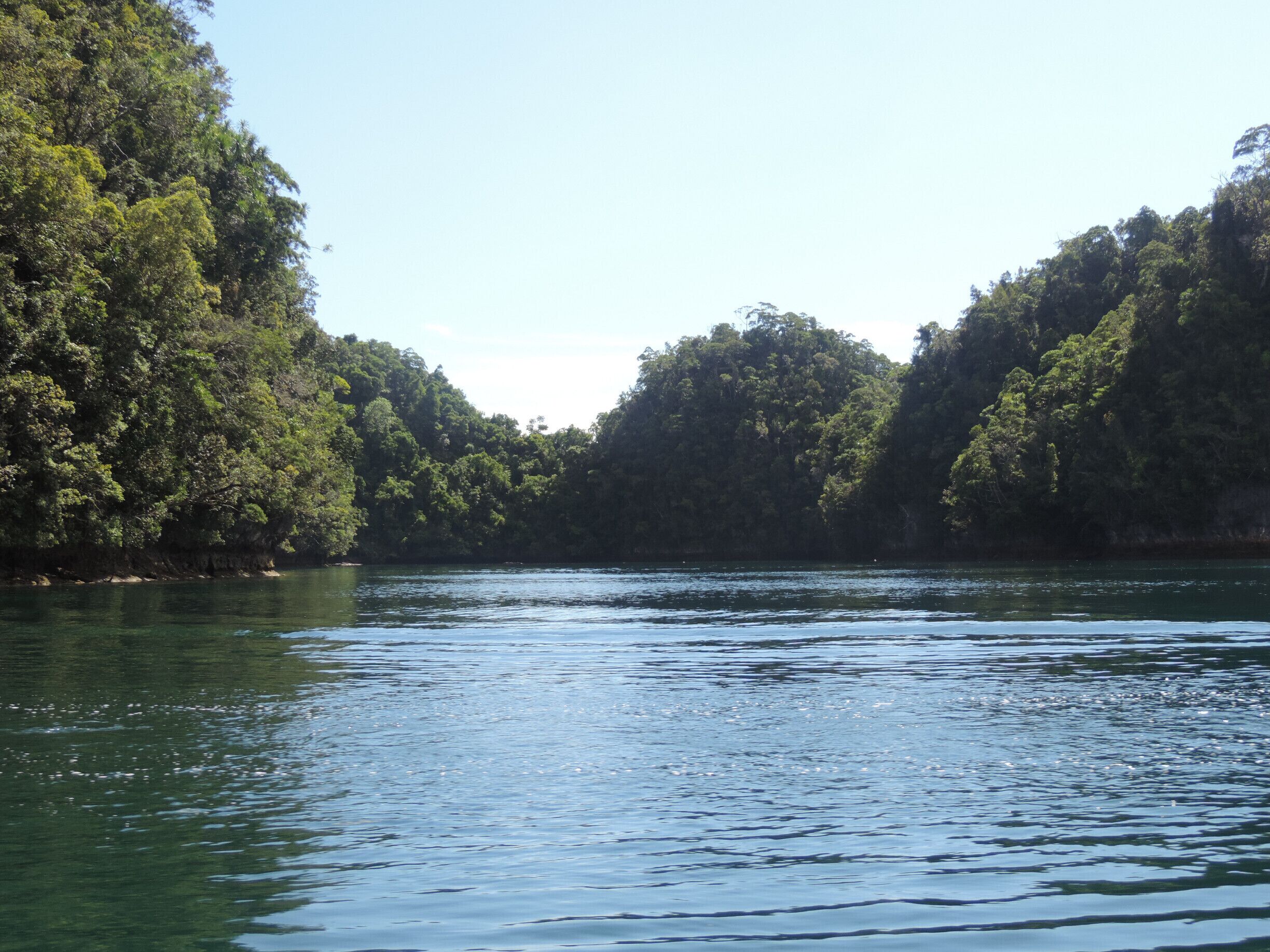 If you want to be alone just enter the Lagoon and you'll be safe 