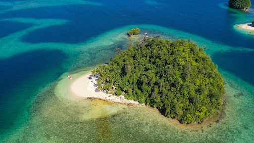 Vista aerea di un’isola tropicale con una spiaggia di sabbia bianca, una fitta foresta verde e acque cristalline turchesi.