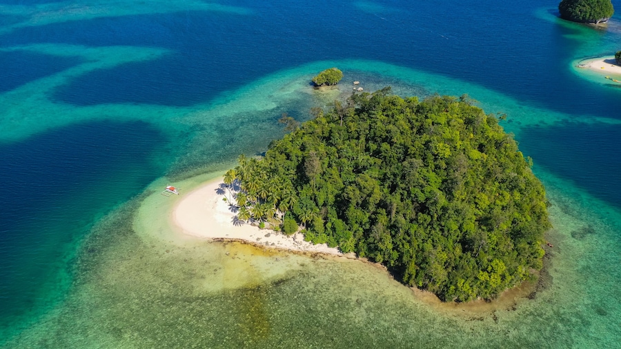 Vista aérea de una isla tropical con una playa de arena blanca, un denso bosque verde y aguas turquesas cristalinas.