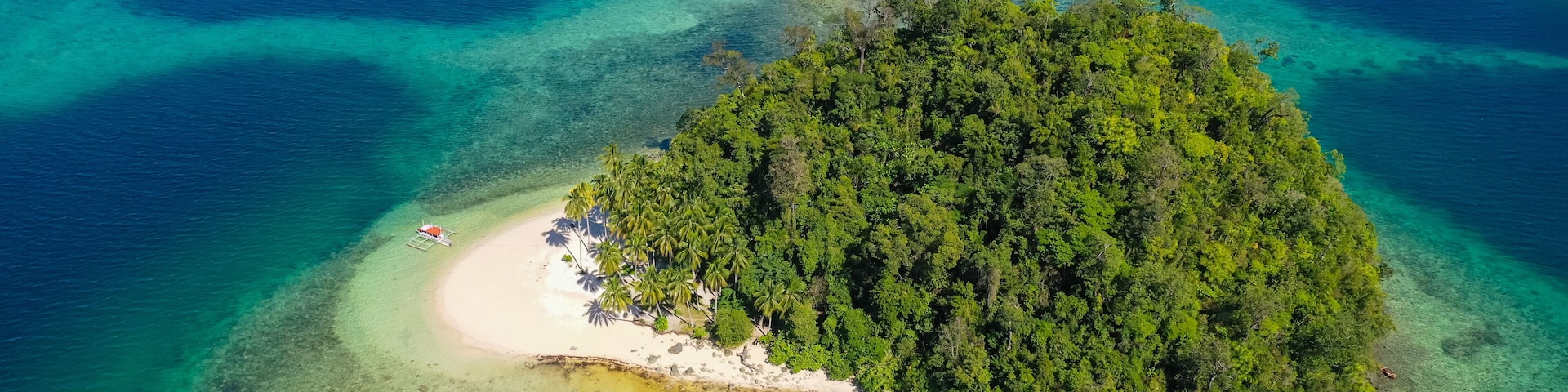 Vista aérea de una isla tropical con una playa de arena blanca, un denso bosque verde y aguas turquesas cristalinas.