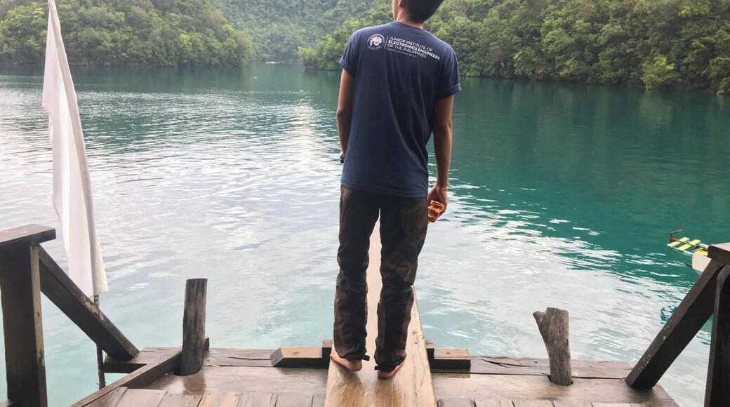 If I could fall I won't really hesitate to dive