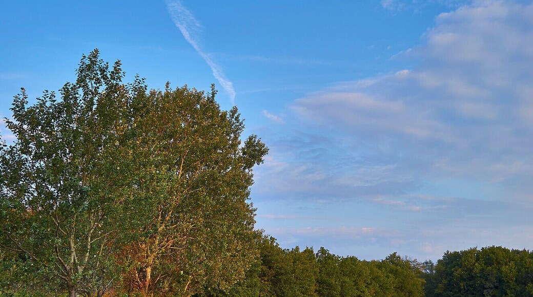 La strada per Berzano