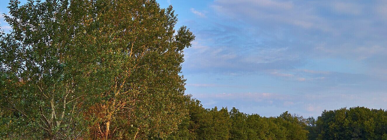 La strada per Berzano