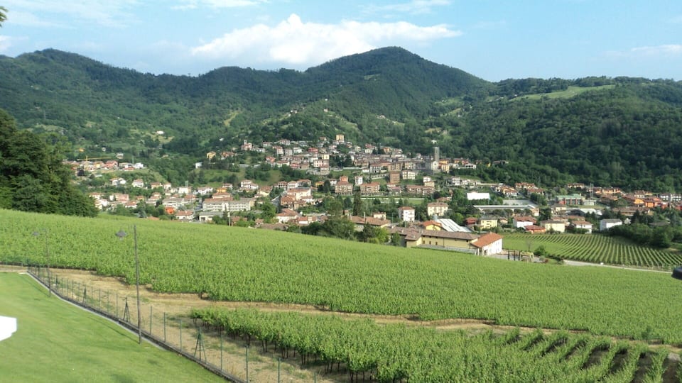 A town nestled in a valley with vineyards and mountains in the background.