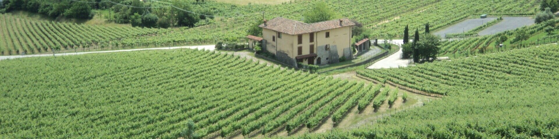 Cascina con Vigneti