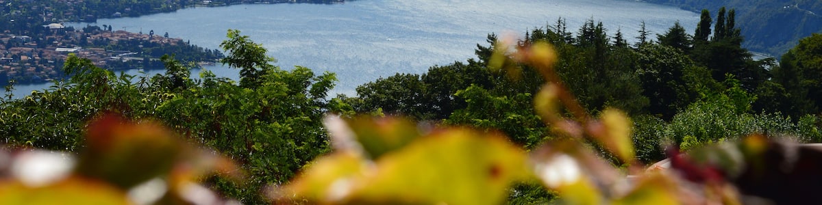 Triangolo Lariano (Q47477655)