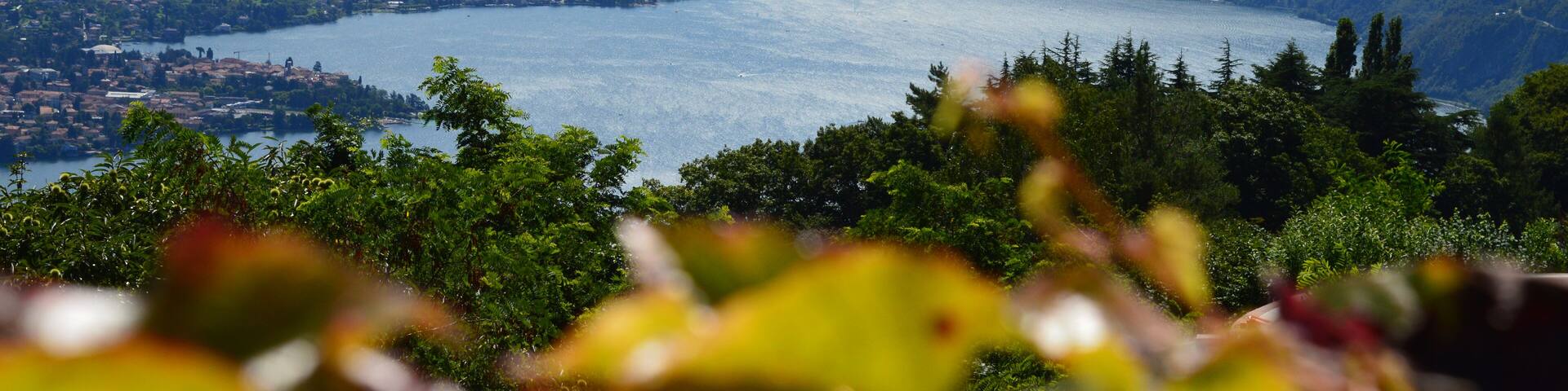 Triangolo Lariano (Q47477655)