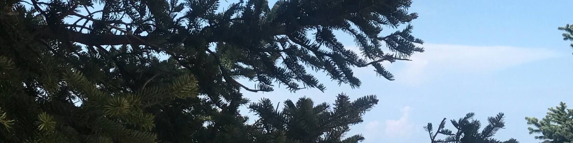 View from the Mountain trail of southern Cephalonia before the clouds rolled in.
#AboveItAll Photo Competition