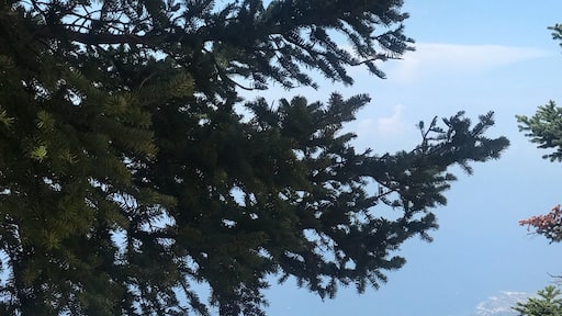 View from the Mountain trail of southern Cephalonia before the clouds rolled in.
#AboveItAll Photo Competition