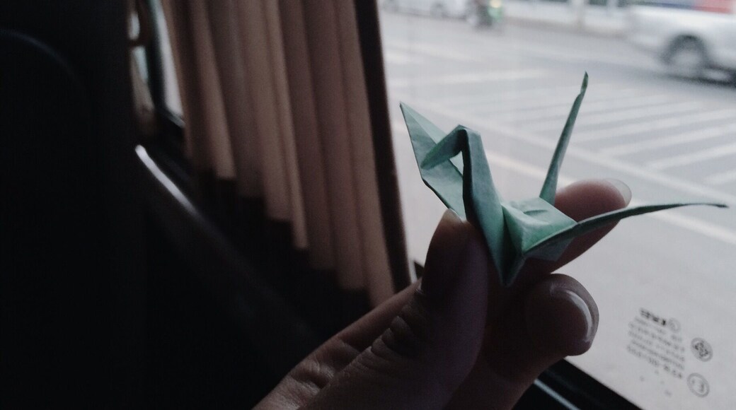 I want to fly like a baby bird â€ïž