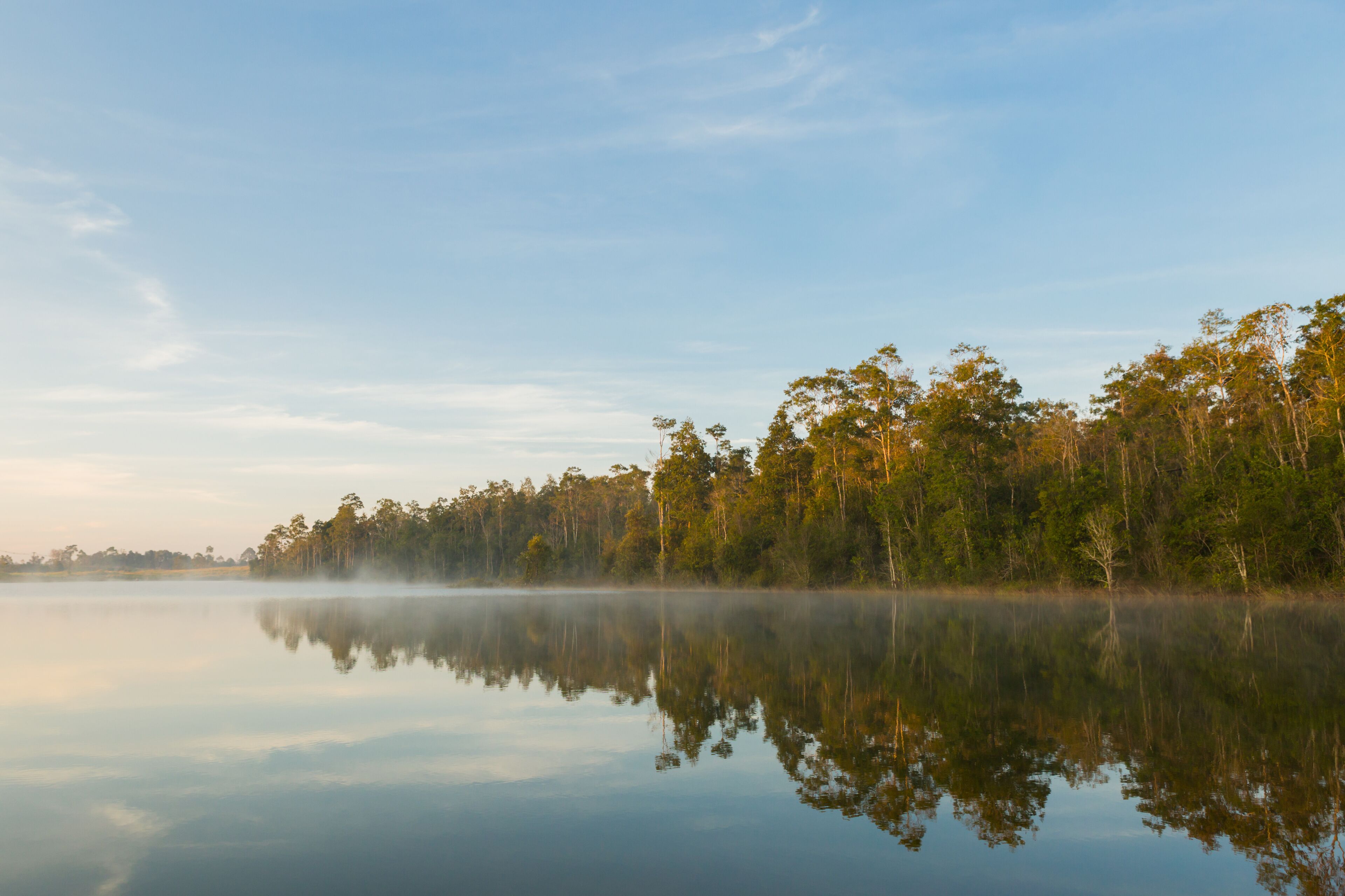 براتشينبيوري