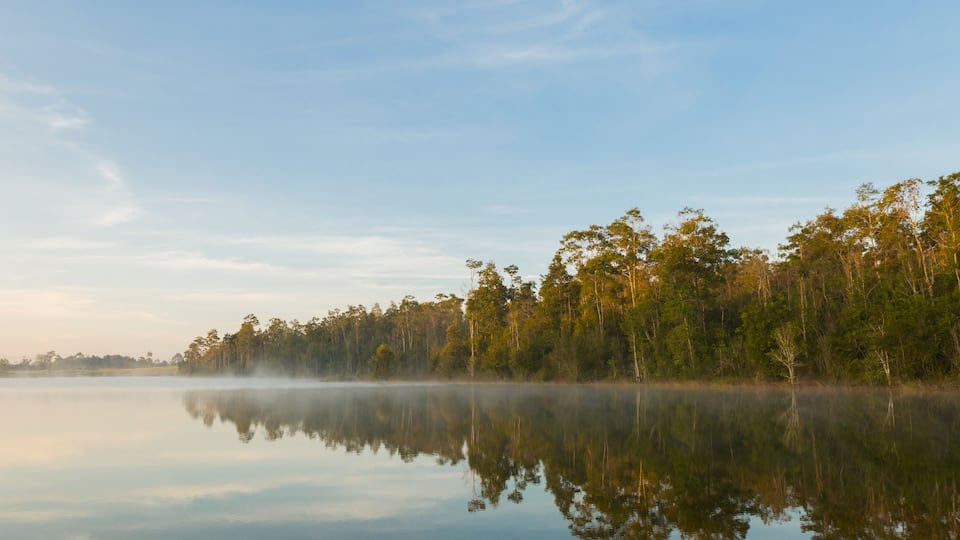 A calm lake with a forest reflection, surrounded by trees and a clear sky.