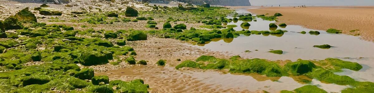 Cap Blanc-Nez is a cape on the Côte d'Opale, in the Pas-de-Calais département, in northern France. The cliffs of chalk are very similar to the white cliffs of Dover at the other side of the Channel in England. Its a nice and not far trip by train from Lille or Brugge :) #LifeAtExpedia