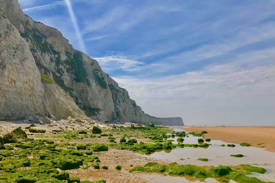 Un paysage côtier caractérisé par une plage de sable, des rochers recouverts d’algues vertes et une falaise abrupte.