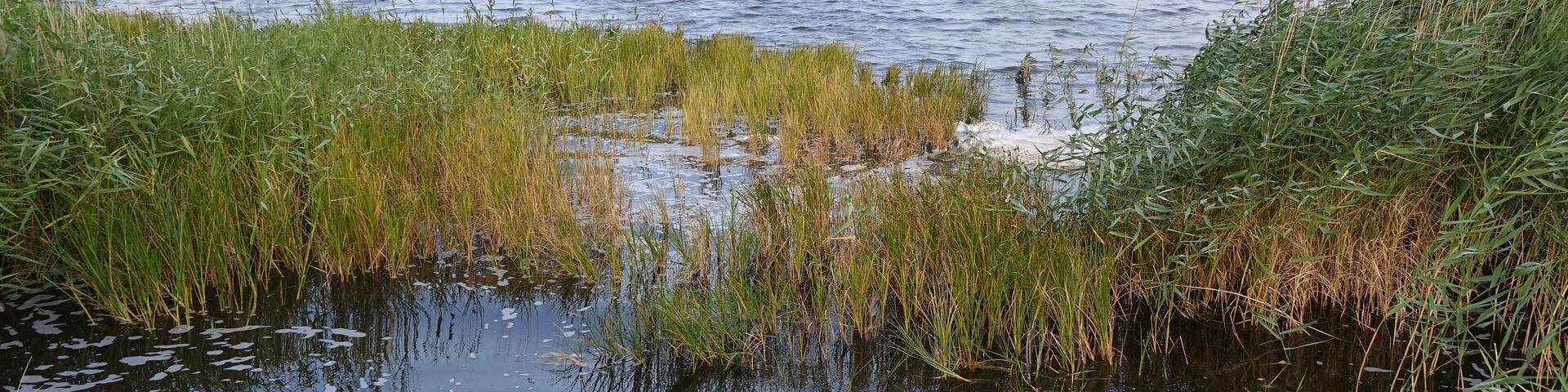 Bodden auf Dussvitz auf Ruegen