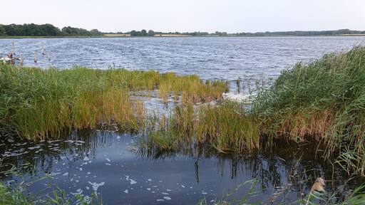 Bodden auf Dussvitz auf Ruegen