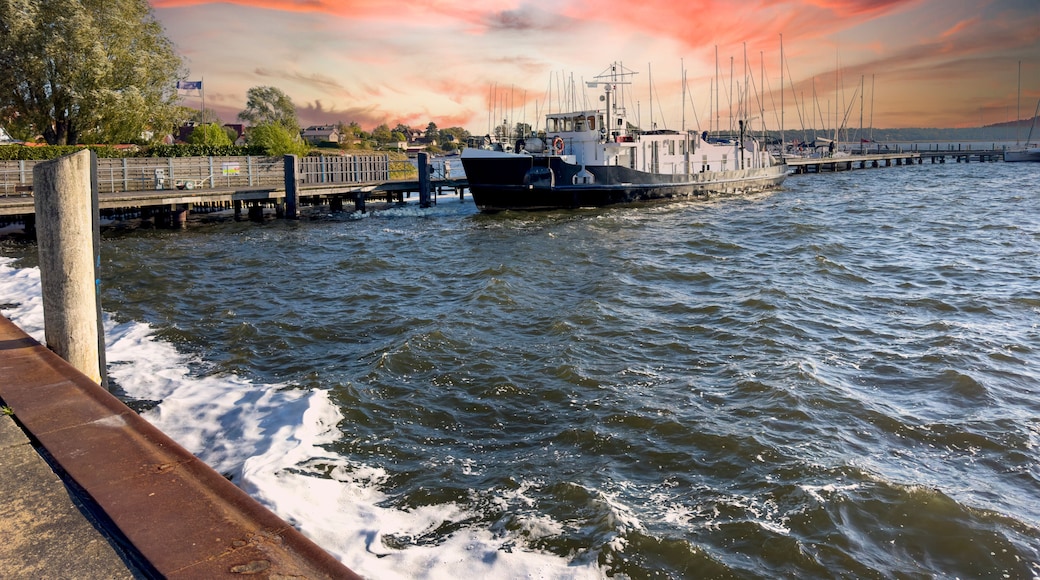 Port of Breege in the sunset on the island of Rügen on the Baltic Sea in Germany