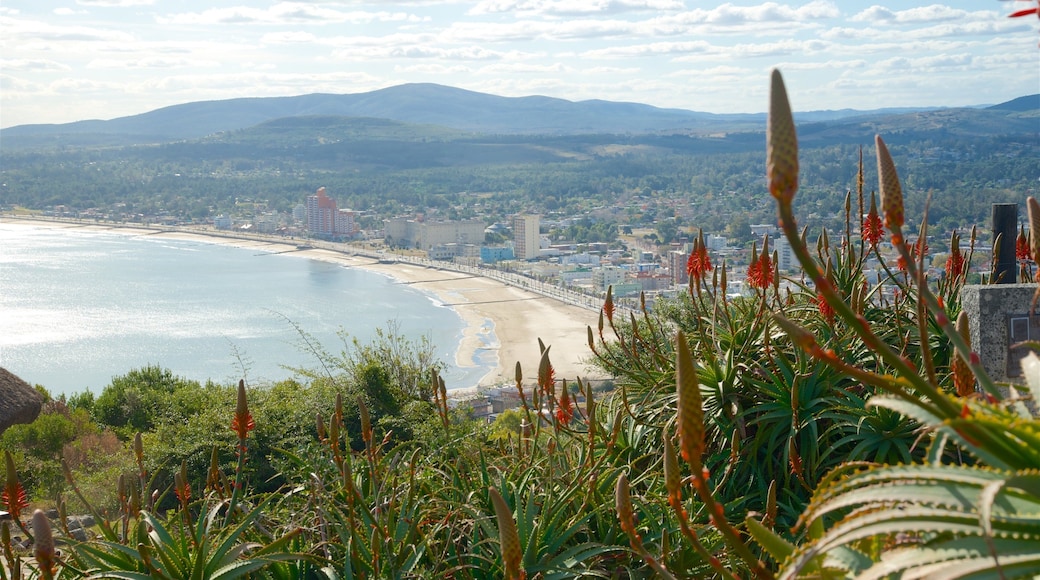 Uruguay que incluye vistas de paisajes, flores silvestres y escenas tranquilas