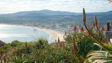 A coastal city with a beach, mountains, and cacti in the foreground.