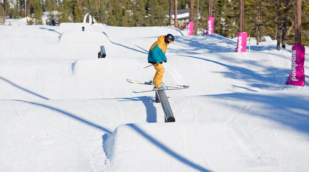 Sälen fasiliteter samt skikjøring og snø