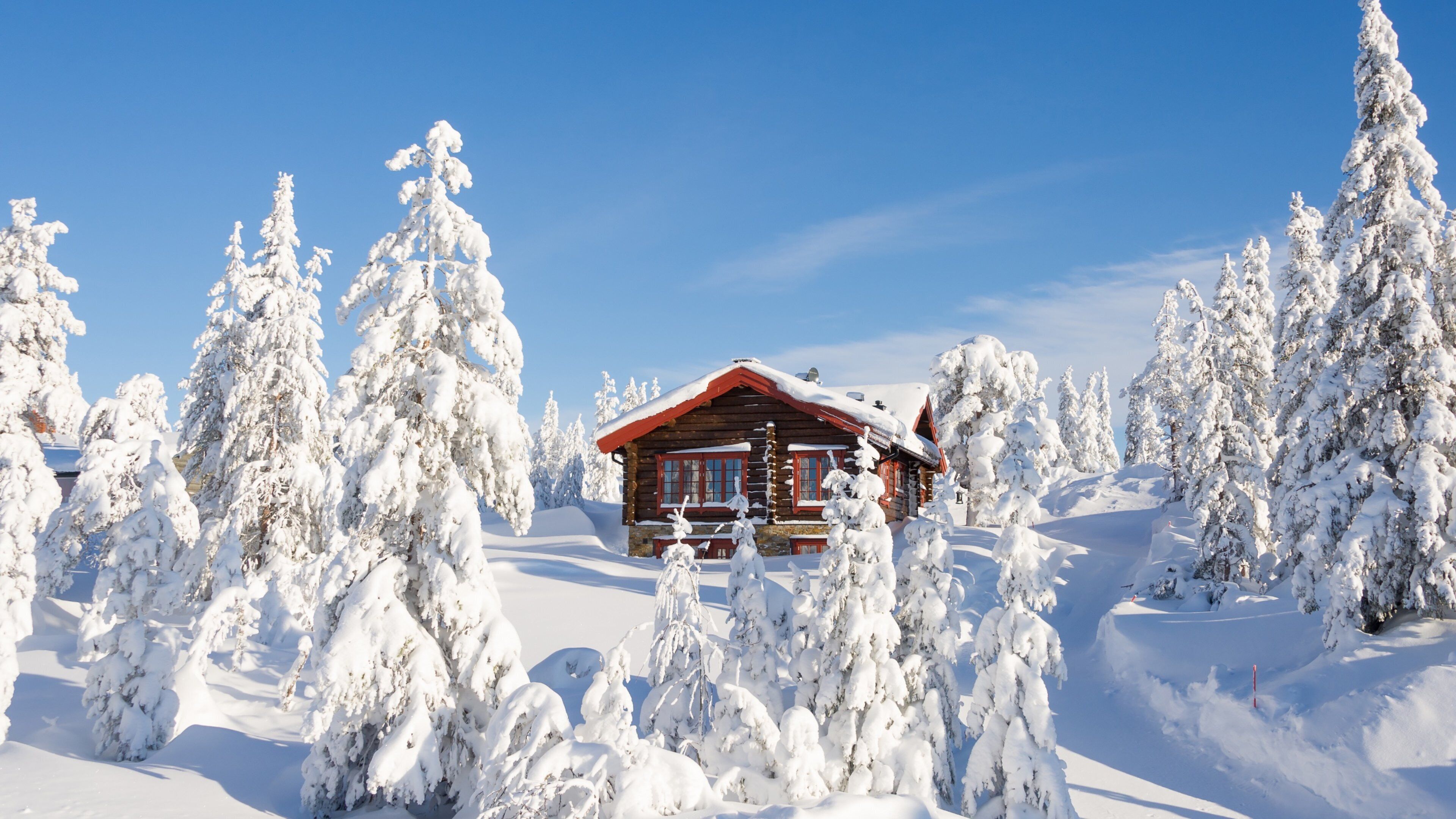 A wooden cabin surrounded by snow-covered trees.