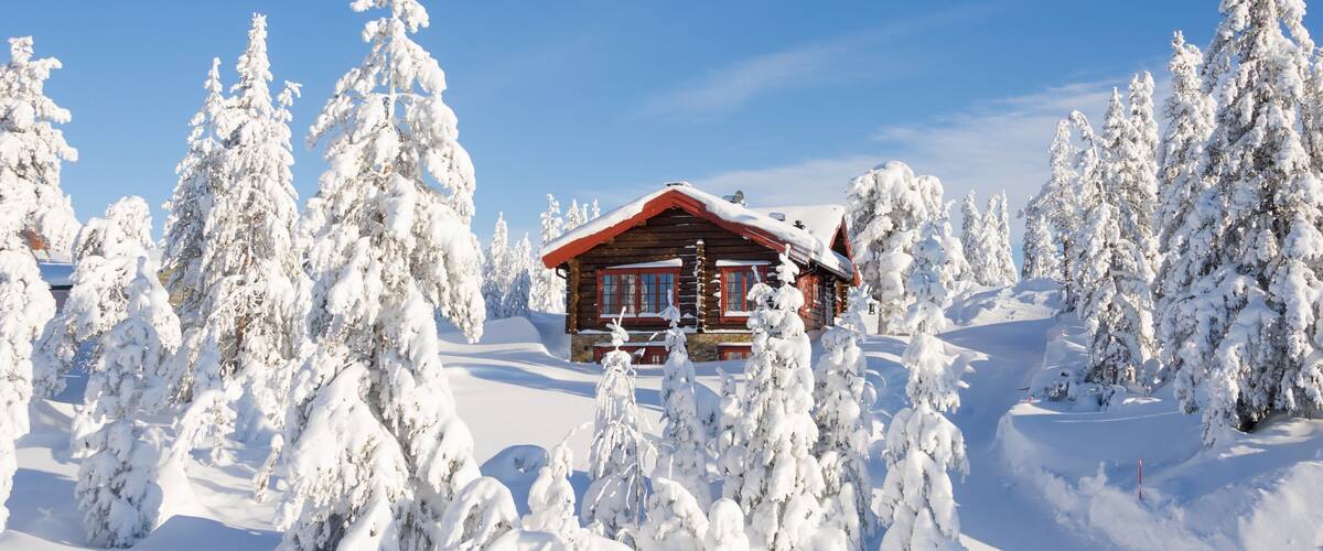 A wooden cabin surrounded by snow-covered trees.