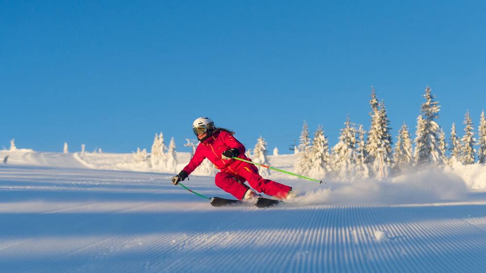 Ein Skifahrer in einem roten Anzug fährt einen verschneiten Hang hinunter, im Hintergrund sind schneebedeckte Bäume zu sehen.