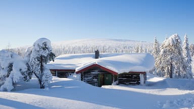 Salen montrant neige