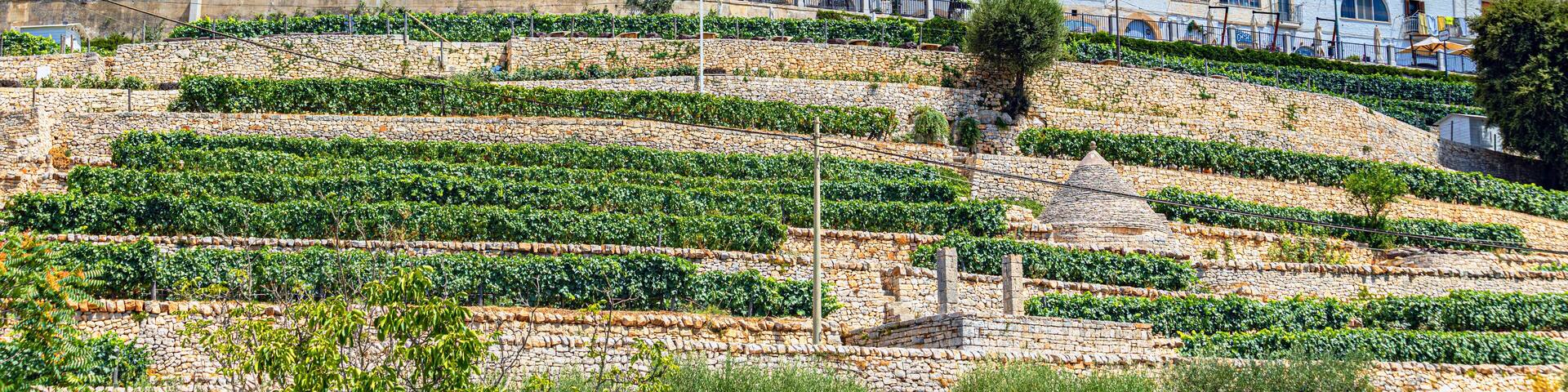 Locorotondo in Apulia Puglia region of Itria Valley south Italy