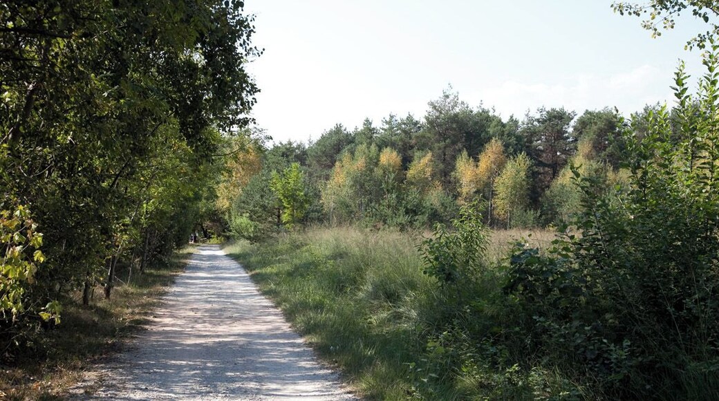 Parco Groane 09/2009