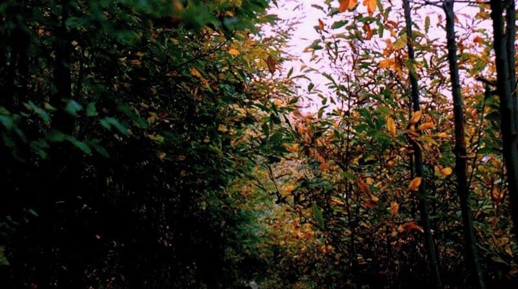 strada senza fine.....