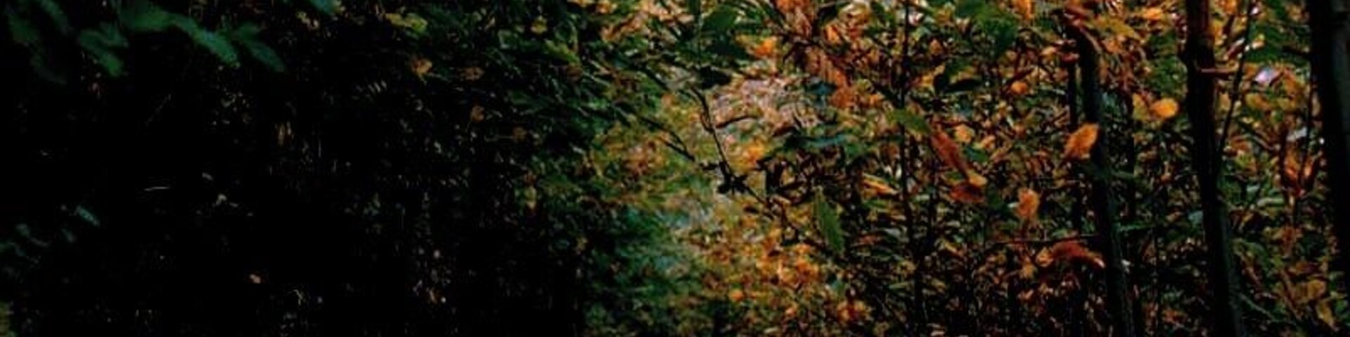 strada senza fine.....