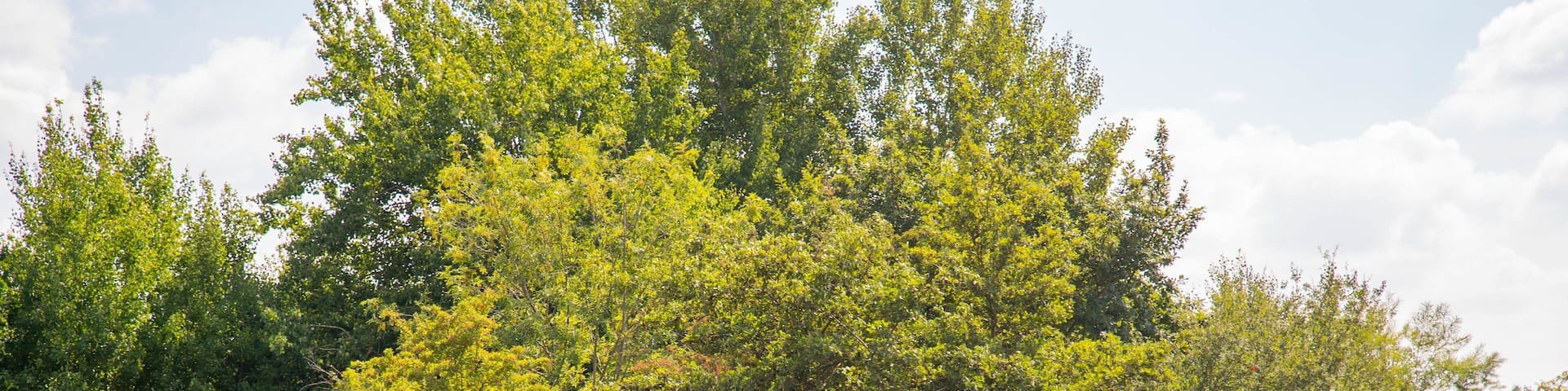 National Water Sports Centre