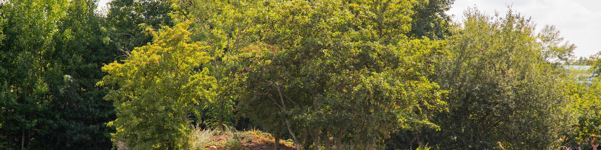 National Water Sports Centre