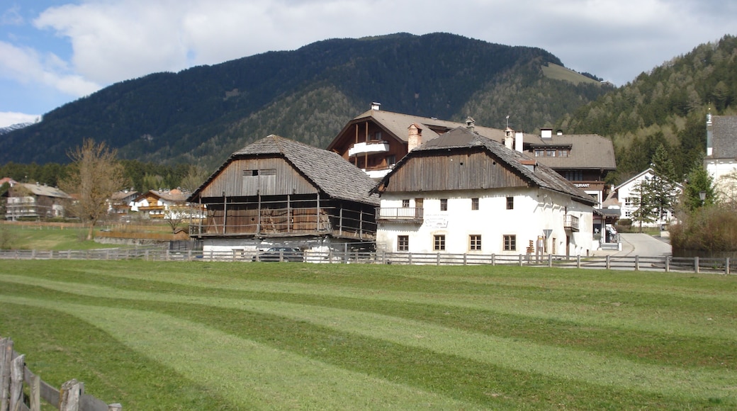 Lienharter und Joggiler - Geteilter Hof in Rasen